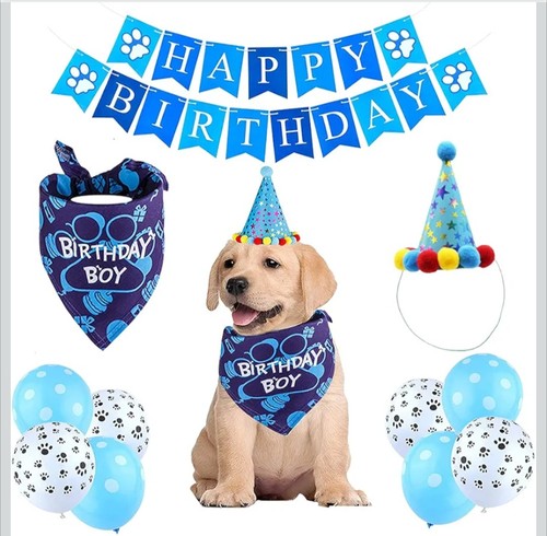 Dog birthday decorations - birthday,